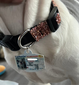 Pet ID Tag Personalized with your state